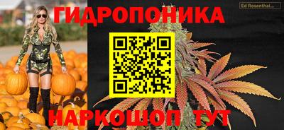 ALPHA-PVP Можга