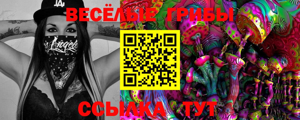 Верхняя Салда  Галлюциногенные грибы мухоморы  Вход с VPN 